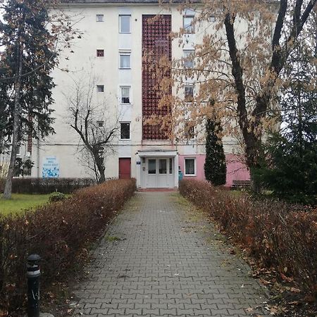 Apartament Raluca Toplita  Luaran gambar