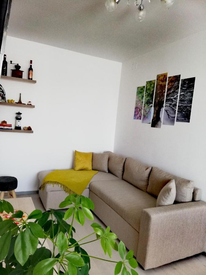 Apartament Raluca Toplita  Luaran gambar